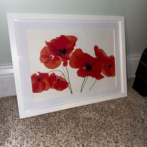 Framed Red Poppy Art Print
